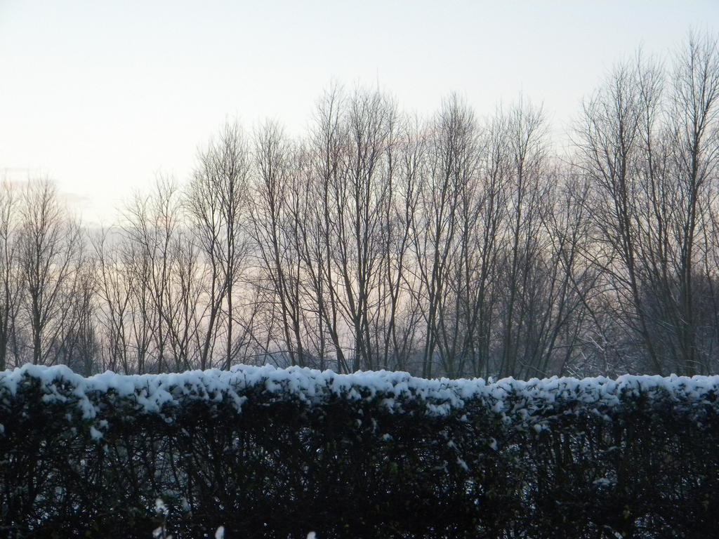 Petrus Wittebrood Hoeve Dikkelvenne Bagian luar foto