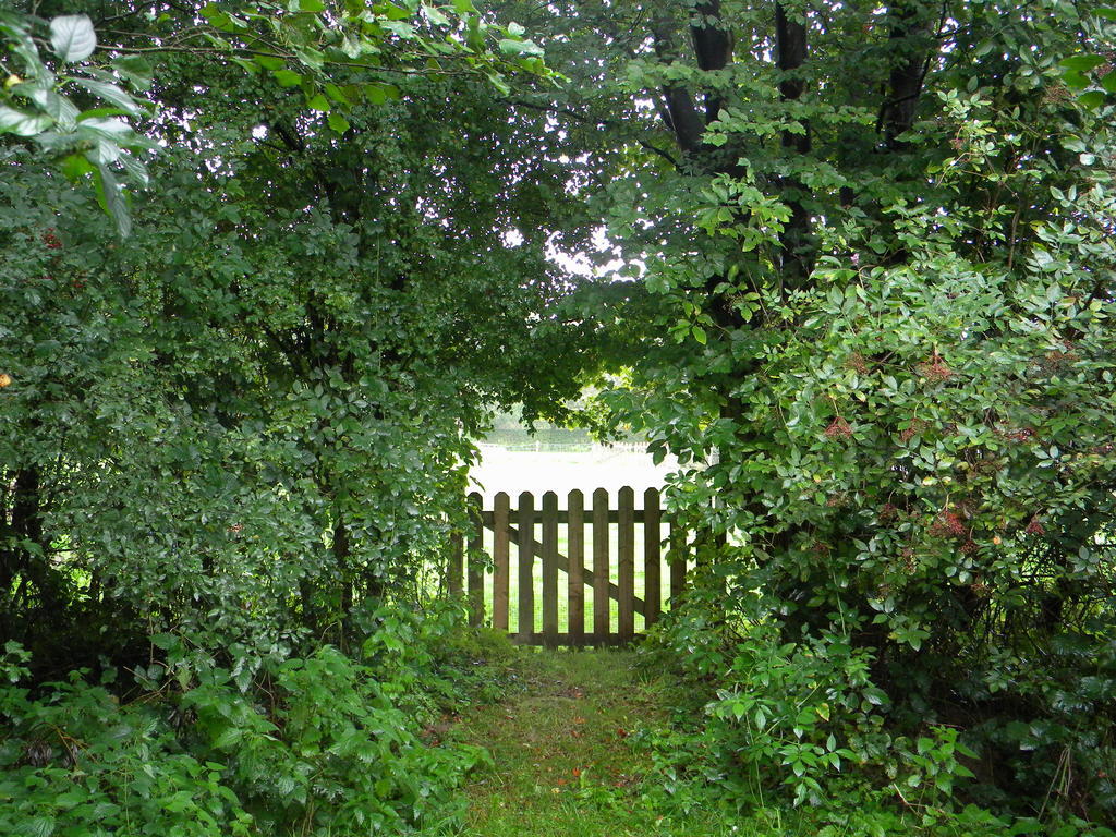 Petrus Wittebrood Hoeve Dikkelvenne Bagian luar foto